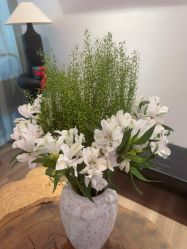 -花隐瑜伽·普拉提·红绳