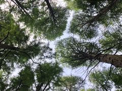 -东湖落雁景区
