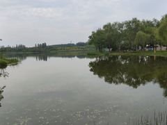 -东郊湿地公园