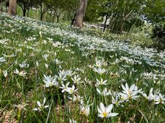 -郑州中国绿化博览园