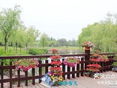 -上海鲜花港