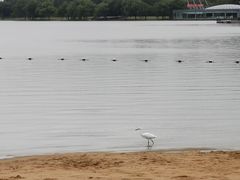-上海月湖雕塑公园