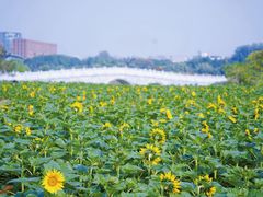 -浙江大学(紫金港校区)