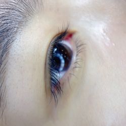 -BELLAREAL新美社