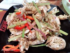 -红盔甲·小龙虾(天钥桥店)