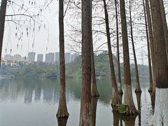 -重庆彩云湖湿地公园