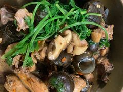 -食爺炭炉鸡煲·烧烤