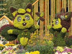 -上海共青森林公园