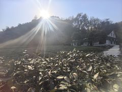-灵顺寺