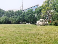 -西江印象酒楼