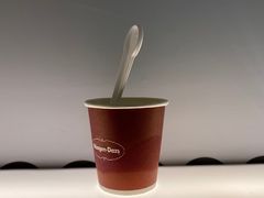 -哈根达斯(深圳海岸城店)