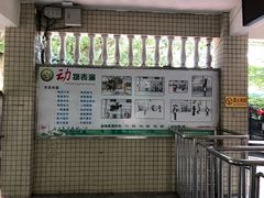 -广东茂名森林公园