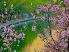 -南长河公园