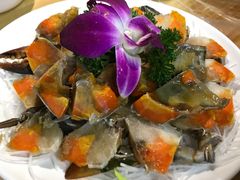 潮州咸膏蟹-官塘陈记鱼生·潮汕砂锅粥·牛肉火锅(潮枫路总店)