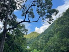 -黔灵山公园