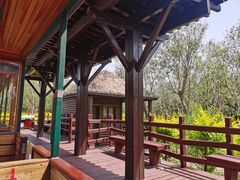 -西青郊野公园