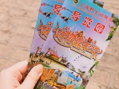 -上海野生动物园