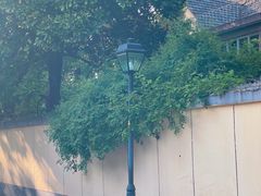-颐和路民国时期公馆风貌区