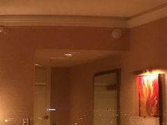 -拉斯维加斯永利酒店