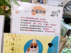 -飞行喵MR PILOT|猫舍·猫咖(静安大融城店)