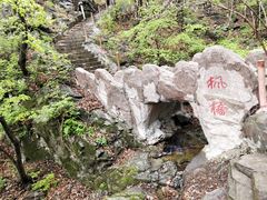 -天女山森林公园