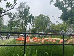-武汉动物园