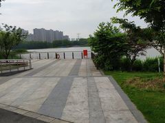 -昆山城市生态森林公园