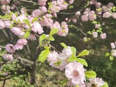 -木塔寺遗址生态公园
