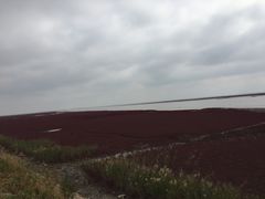-红海滩国家风景廊道