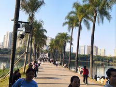-南宁南湖公园