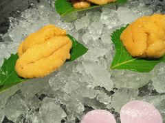 -月龍吟(朝龙汇店)