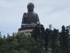 -大澳