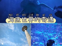 -太平洋海底世界