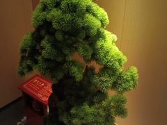 -鹤祥宫·影院足道·SPA连锁(苹果园店)