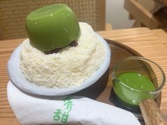 -猫里有甜
