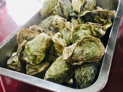 生蚝-罗源湾8号渔排