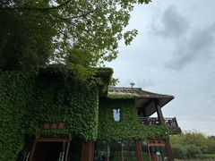 -东滩湿地公园观海楼餐厅