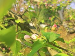 -桂林公园(地铁站)