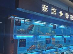 -鸽子侯·家宴·平价海鲜(市图书馆店)