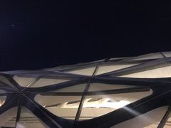 -哈尔滨大剧院