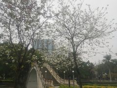 -金砂公园