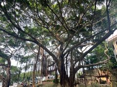 -皇冠幸福里动物奶油生日蛋糕(光谷软件园店)