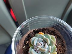 -星巴克(北京环球金融中心店)