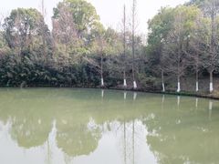 -八大山人梅湖景区