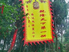 -抱犊崮国家森林公园