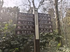 -云龙山