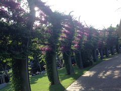 South Bank Parklands-布里斯班南岸公园