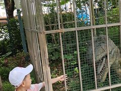 -自然谷恐龙园