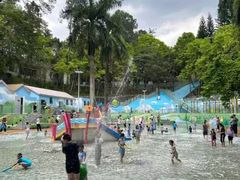 -广州市流溪河国家森林公园