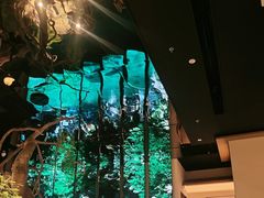 -桂满陇·海市蜃楼·黑金(国金店)